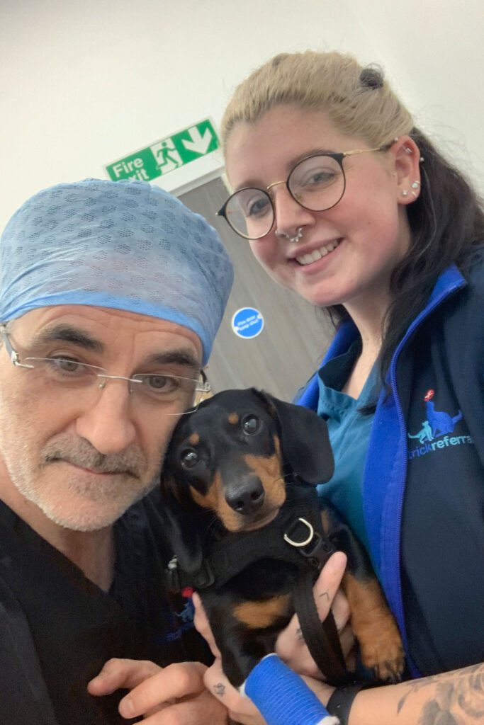 Dachshund patient held by Professor Noel Fitzpatrick and vet nurse.