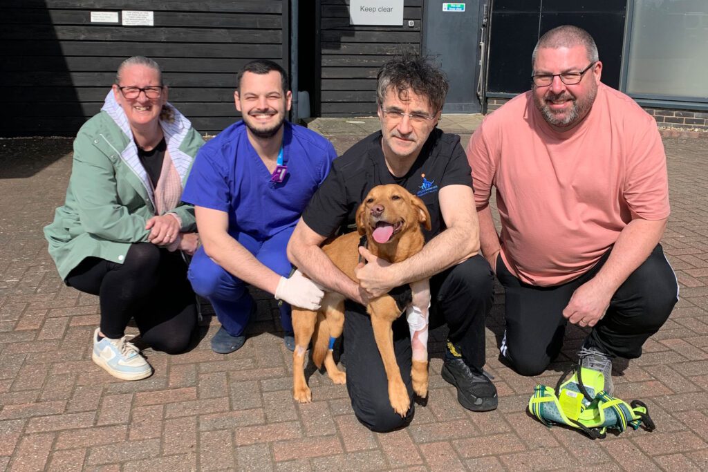 Labrador outside after elbow replacement surgery alongside her surgeon Noel Fitzpatrick and her family