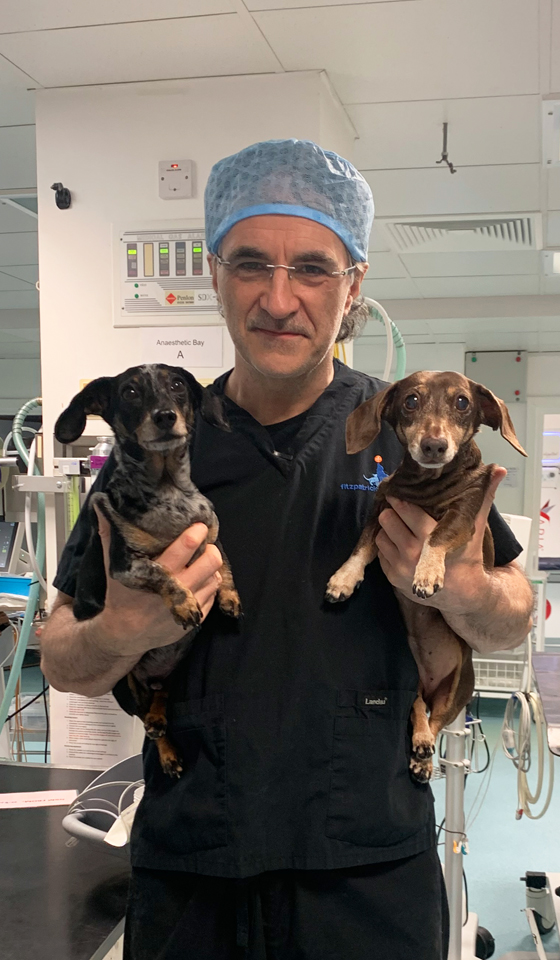 Two dachshunds being held by Professor Noel Fitzpatrick
