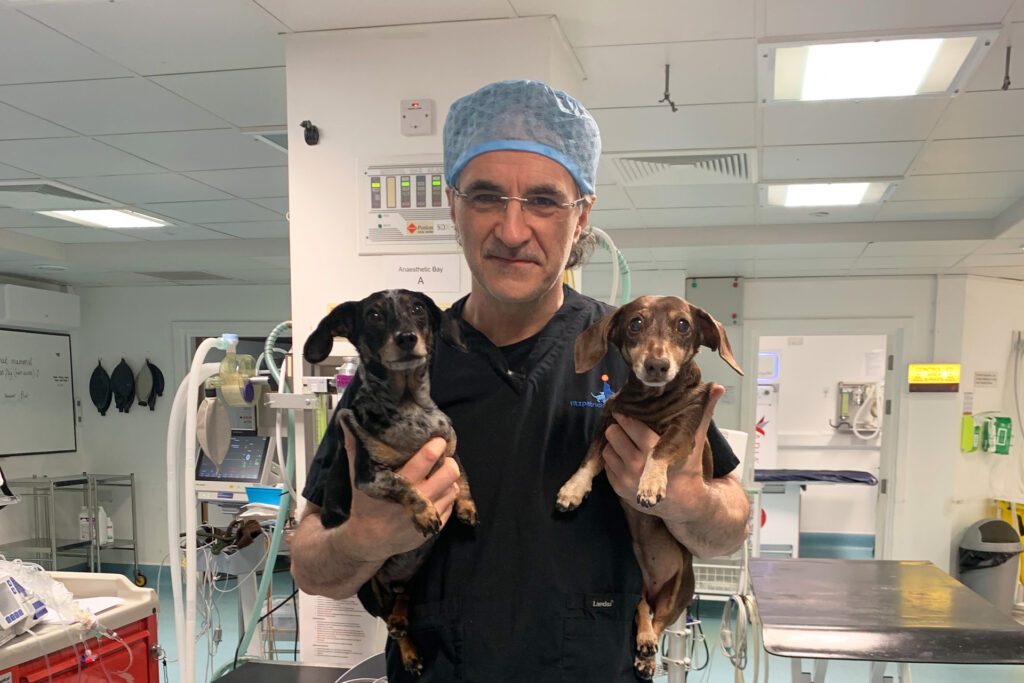 Two dachshunds being held by Professor Noel Fitzpatrick