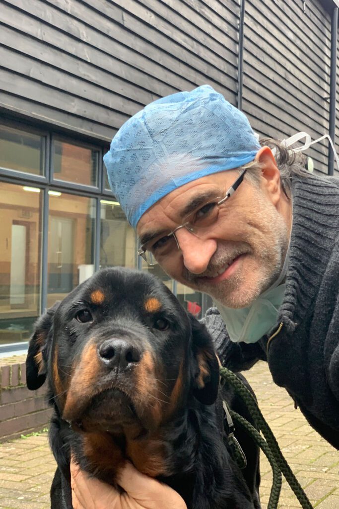 Supervet Professor Noel Fitzpatrick with rottweiler patient