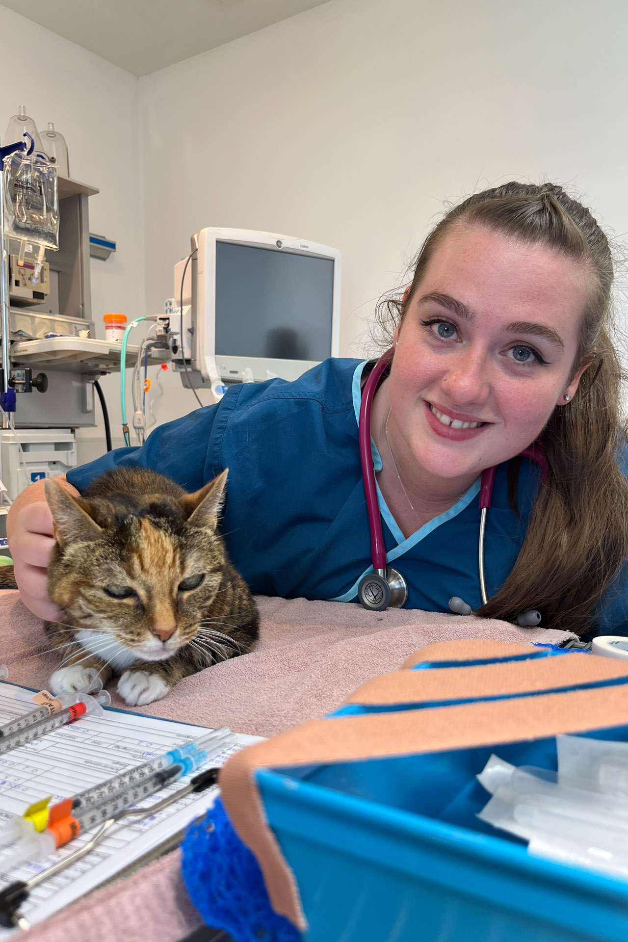 Dental veterinary nurse with feline patient
