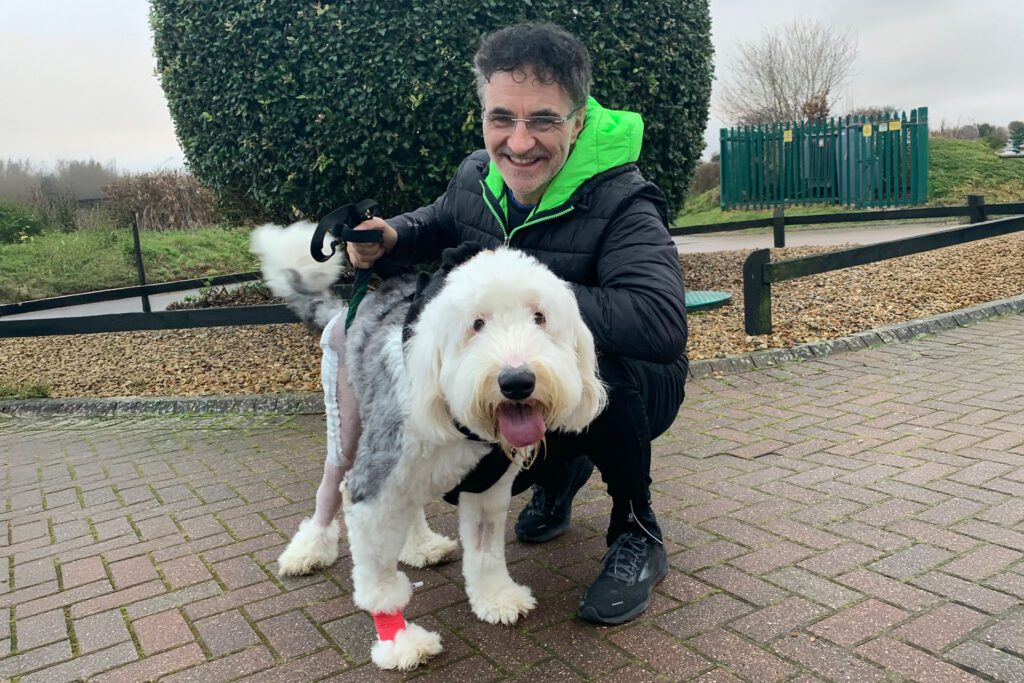 Old English Sheepdog with Professor Noel Fitzpatrick