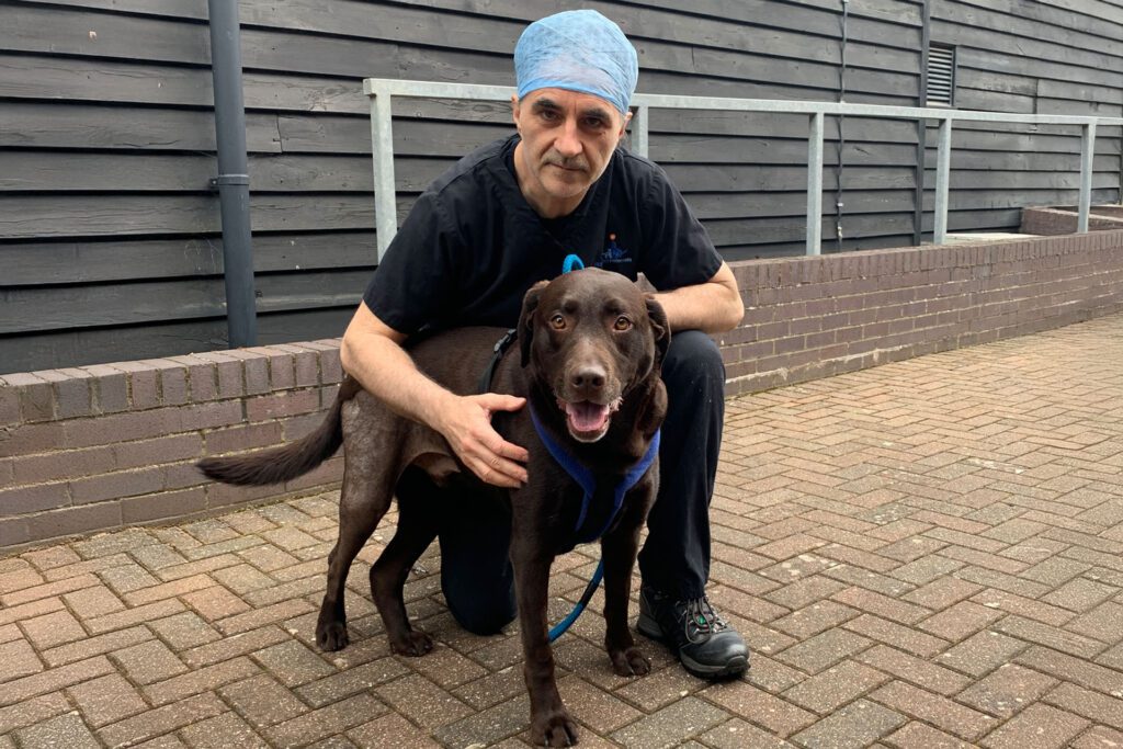 Professor Noel Fitzpatrick and Chocolate Labrador outside Fitzpatrick Referrals veterinary hospital