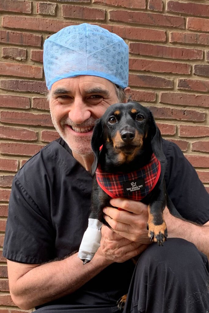 Professor Noel Fitzpatrick holding miniature dachshund with bandage on its right paw