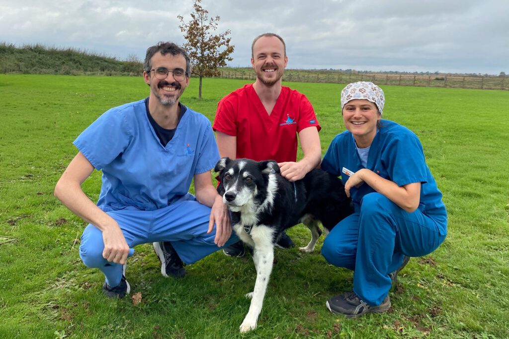 Border collie dog outside on the grass with three veterinary professionals