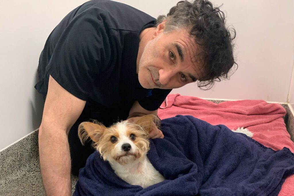 Jack Russell Terrier cross in a hospital kennel with vet Professor Noel Fitzpatrick