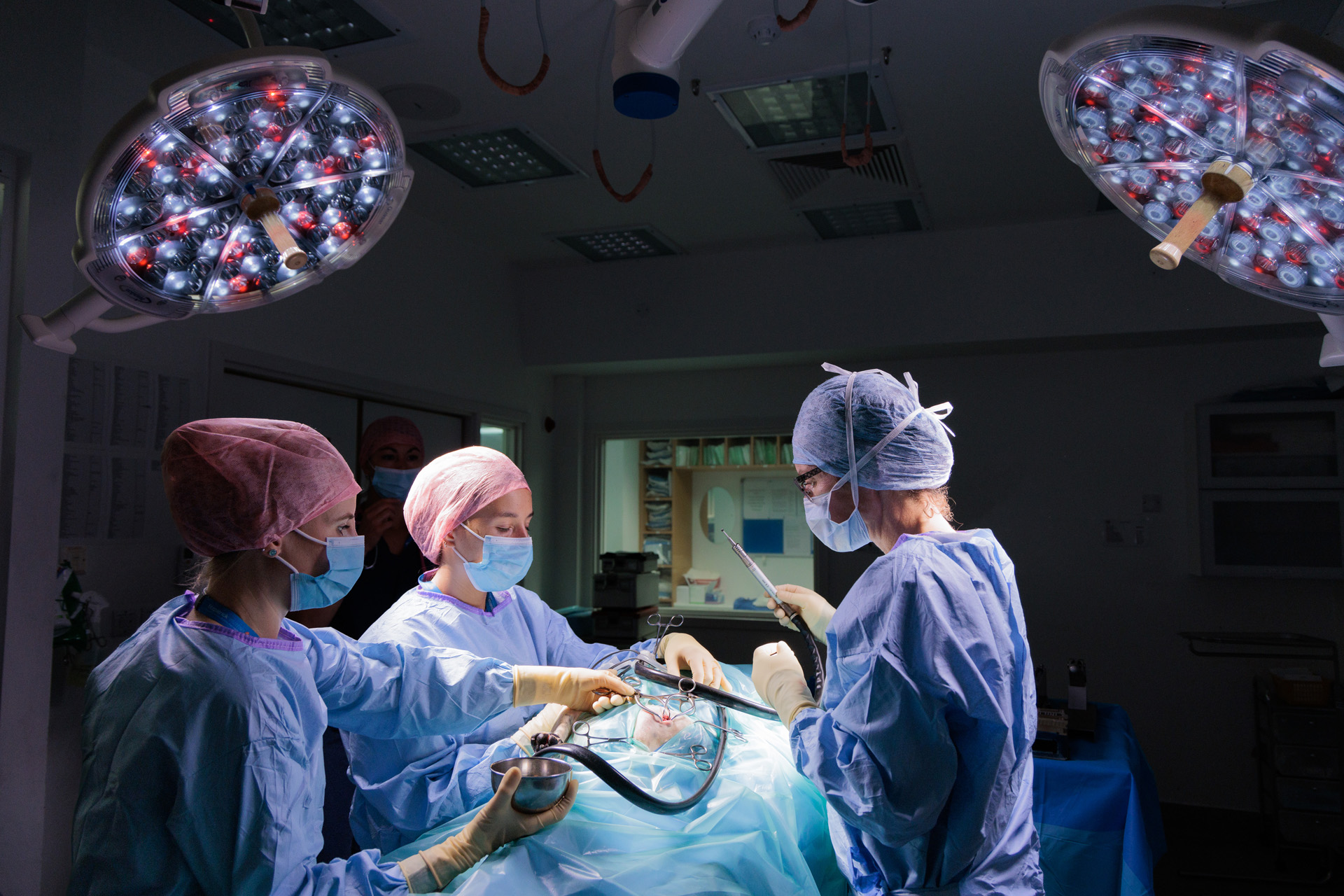 Three female veterinary surgeons in theatre