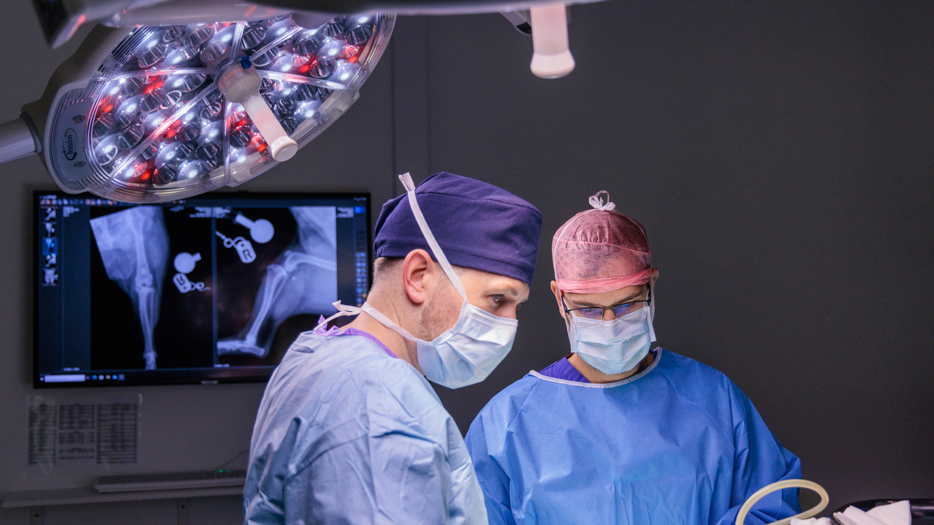 Veterinary specialist James Guthrie in surgery