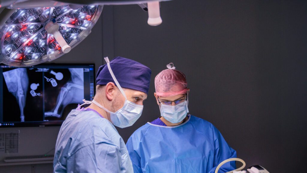 Veterinary specialist James Guthrie in surgery