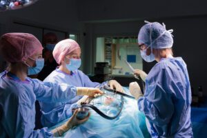 Three female veterinary surgeons in theatre