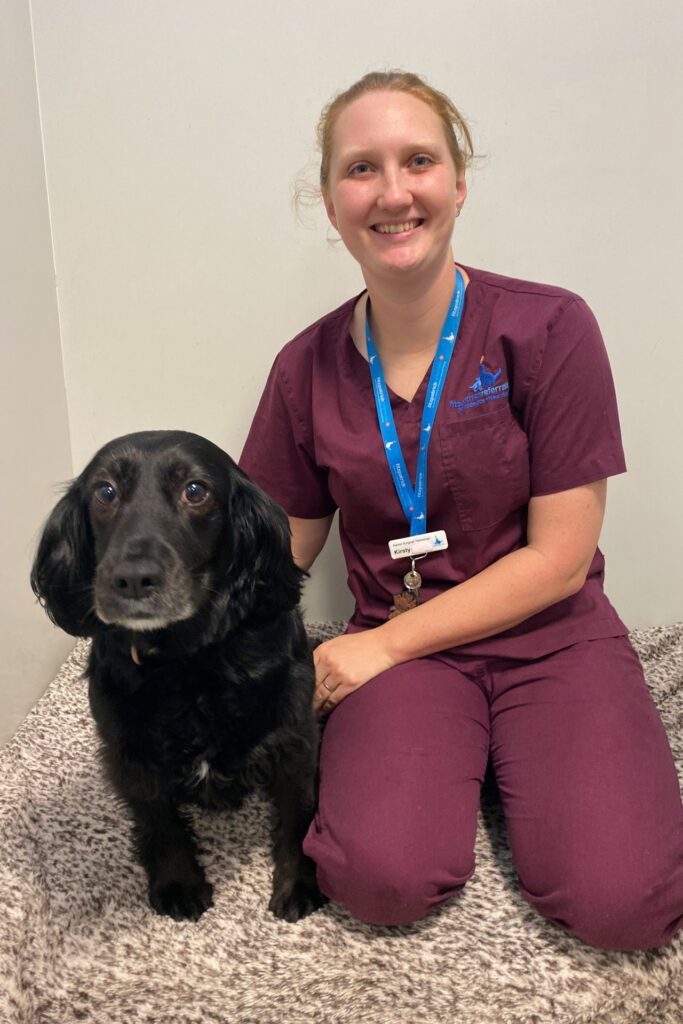 Black cocker spaniel sitting in a vet hospital kennel with an assistant