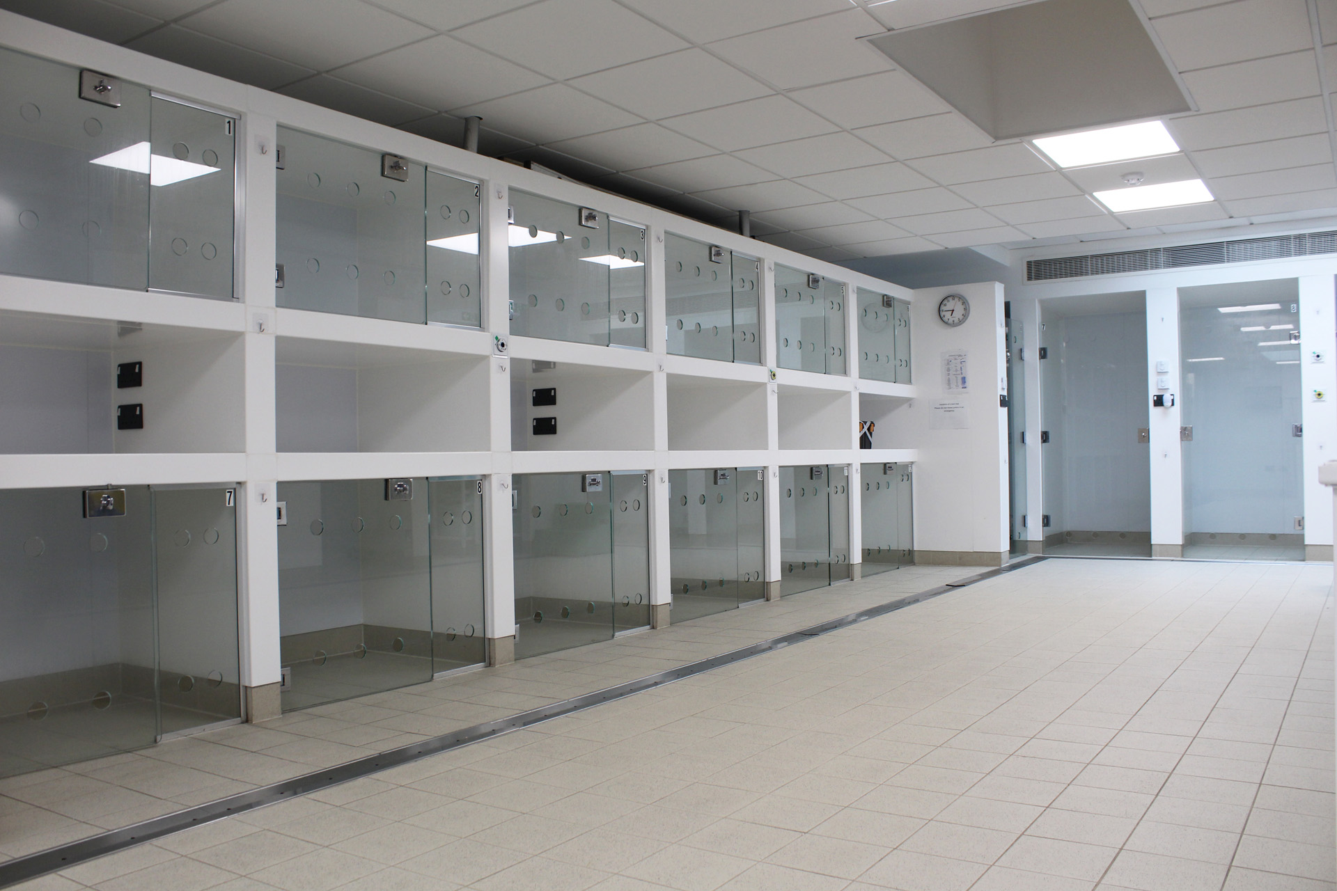 Wards at Fitzpatrick Referrals 1920x1280 Fitzpatrick Referrals patient wards with glass doors