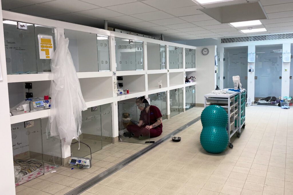 Fitzpatrick Referrals patient wards with glass doors