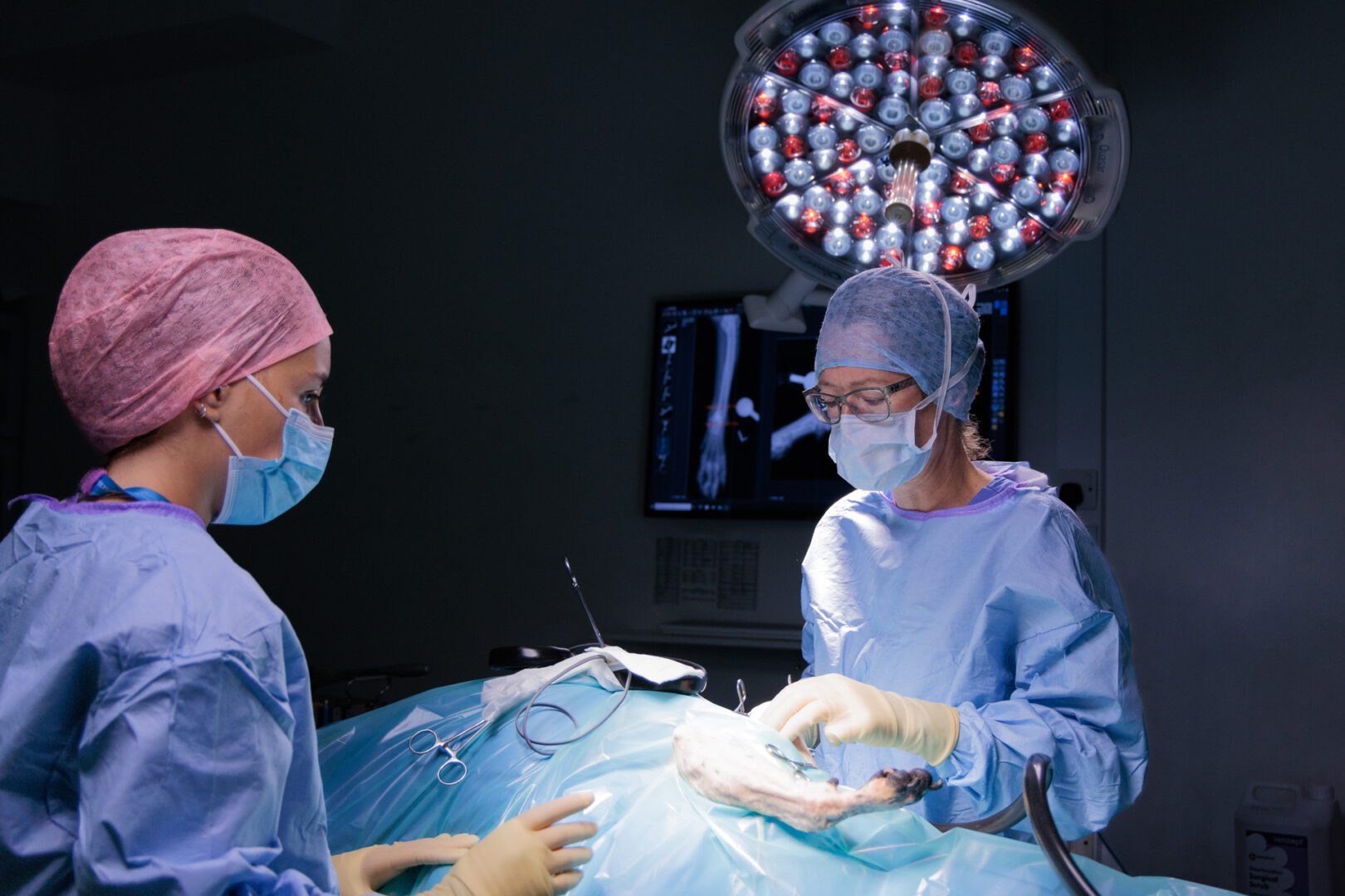 Dr Sarah Girling and surgical intern in surgery