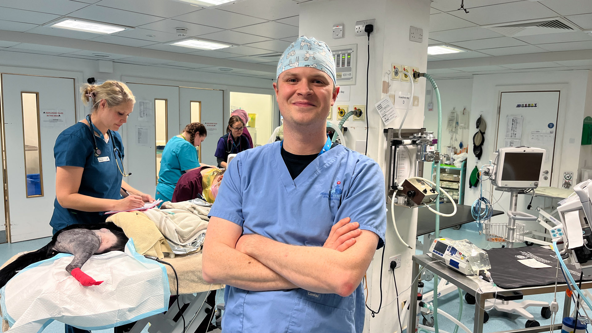 Veterinary surgeon standing in prep at a vet hospital