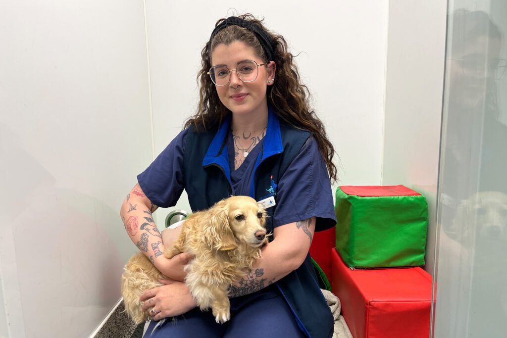 Registered Veterinary Nurse holding a cream miniature dachshund