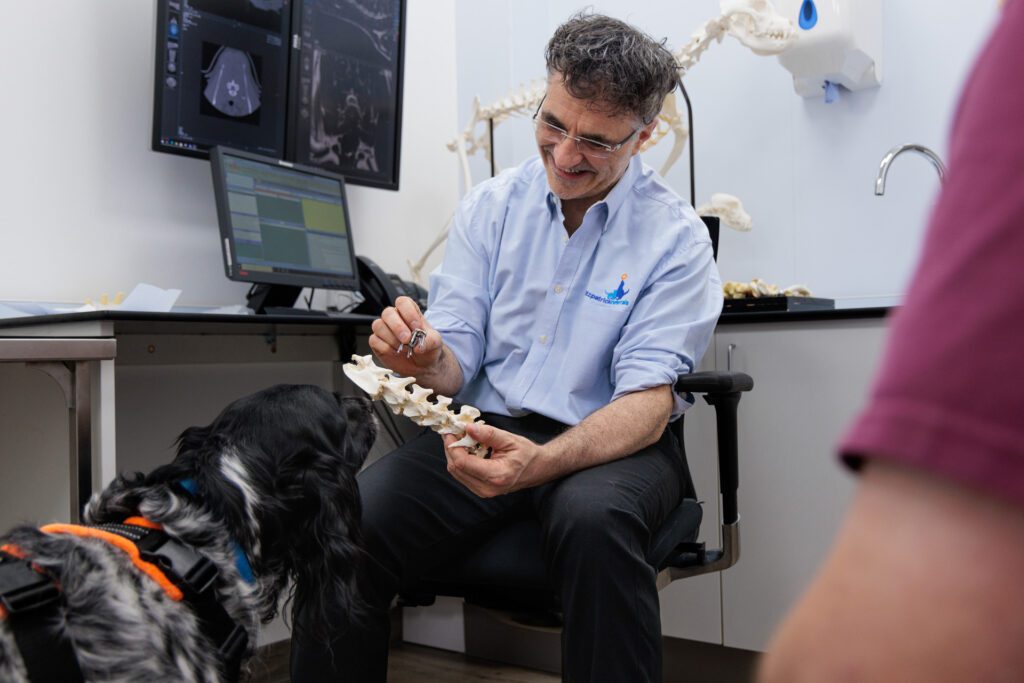 Professor Noel Fitzpatrick holding a model of a dog's vertebrae and a spinal implant in a consultation room with a dog
