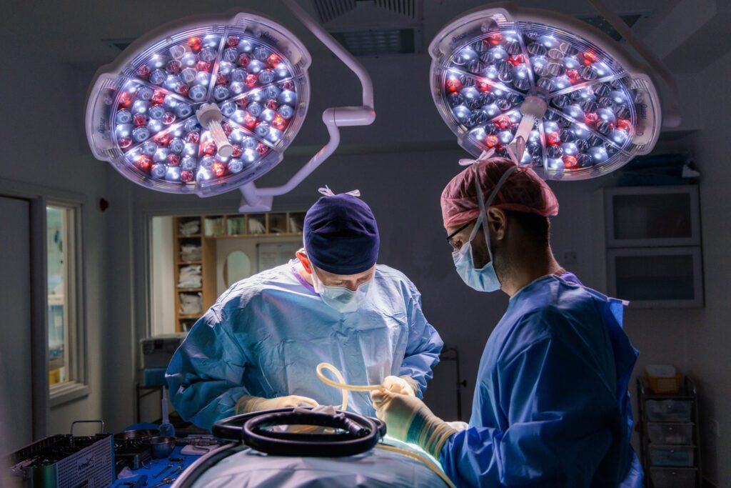EBVS Specialist James Guthrie in surgery with a colleague