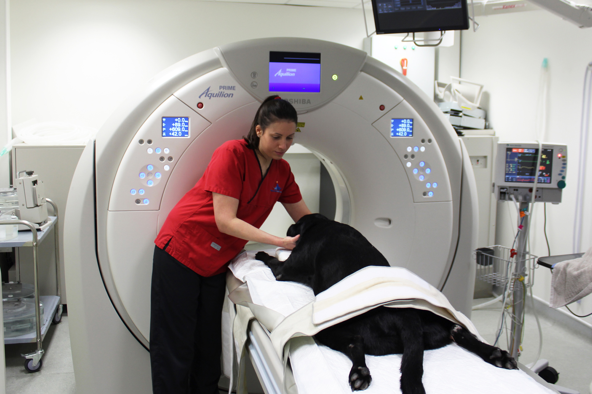 Senior Radiographer Felicity positioning a black Labrador in the CT scanner