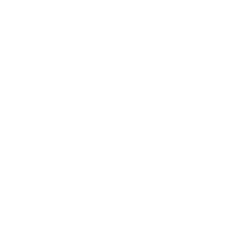 fpr-logo-icon