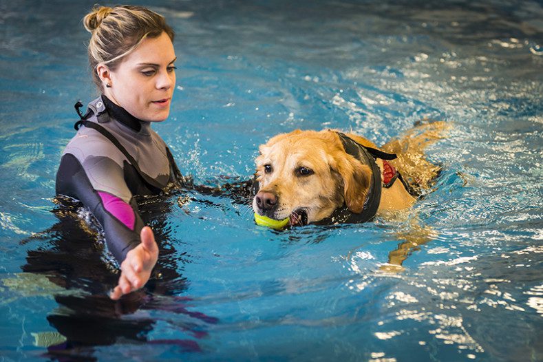 Hydrotherapists