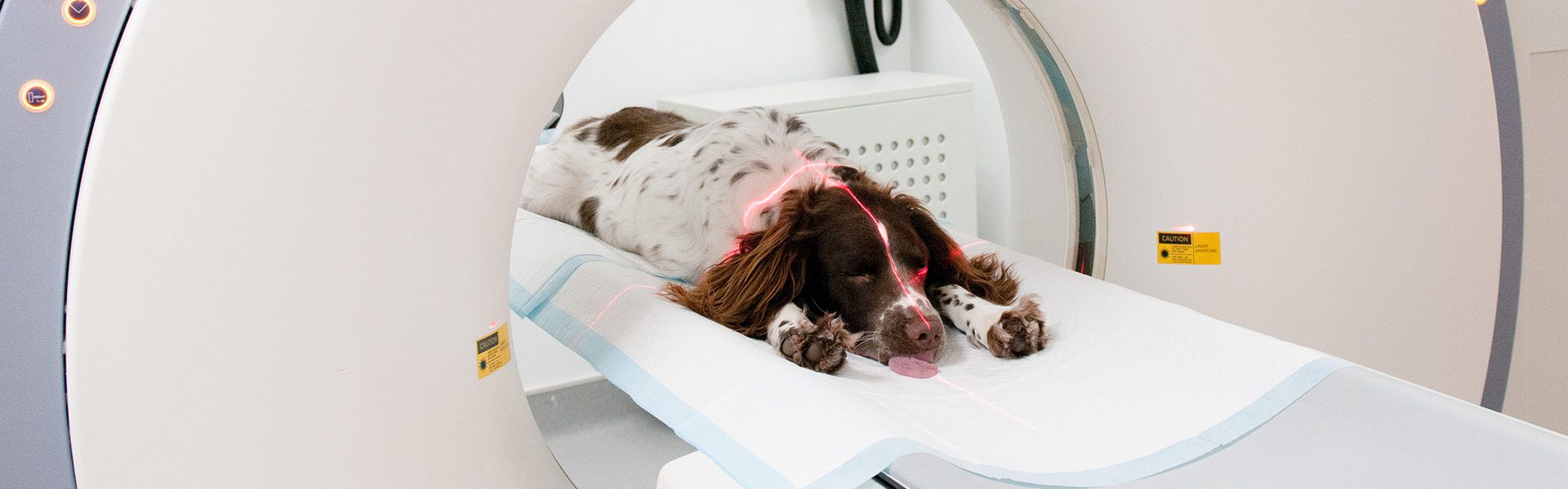 Advanced Diagnostic Imaging (ADI) Service Fitzpatrick Referrals