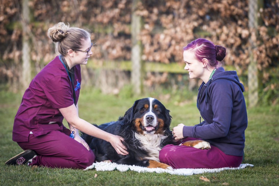 Two Auxiliaries outside Fitzpatrick Referrals Orthopaedics and Neurology Hospital taking a patient for a walk