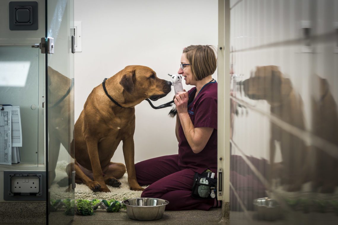 Auxiliary in Wards with patient at Fitzpatrick Referrals Orthopaedics and Neurology Hospital