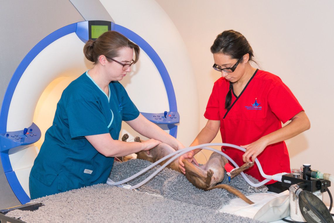 MRI Team at Fitzpatrick Referrals