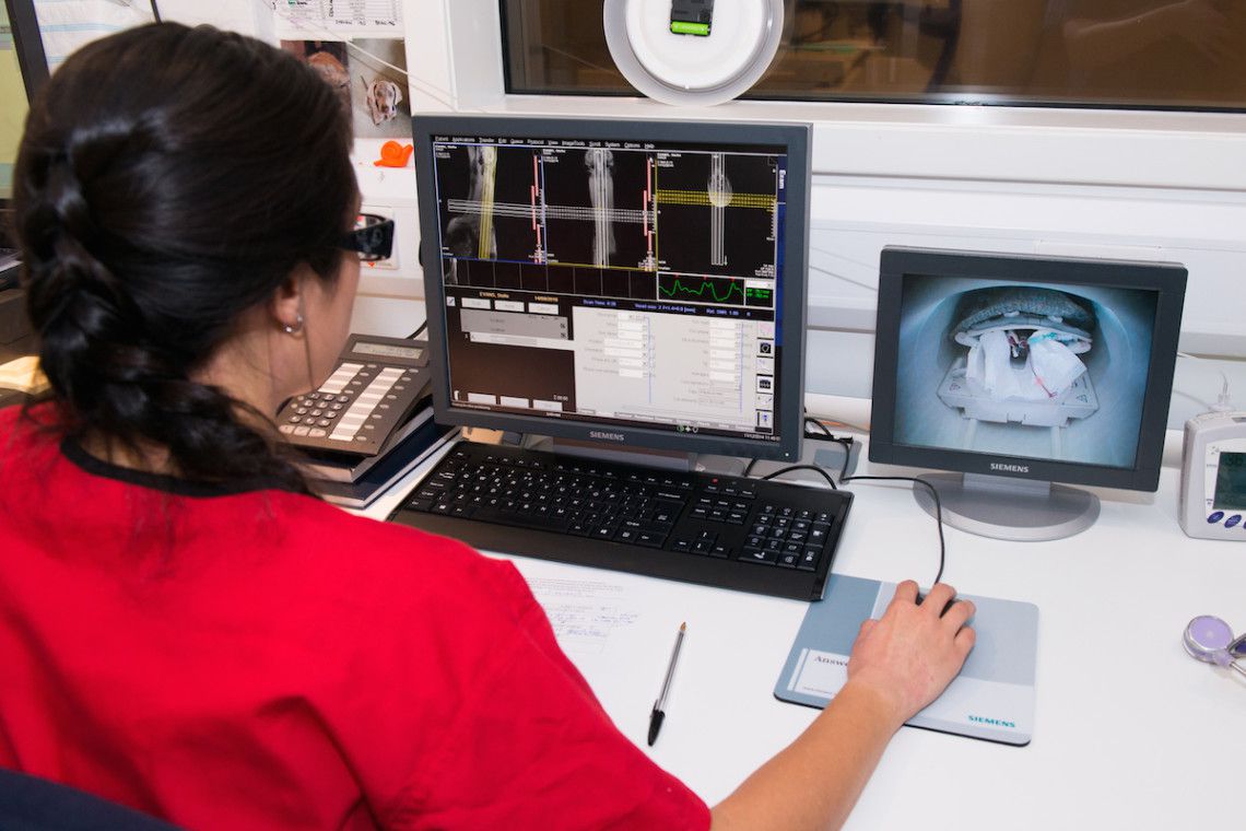 Our Radiographer carrying out an MRI scan on a dog. Once your dog is positioned in the scanner the MRI procedure is controlled from an adjacent room with full view of your dog through a lead-lined window and videography ensuring your dog is monitored closely throughout the procedure.