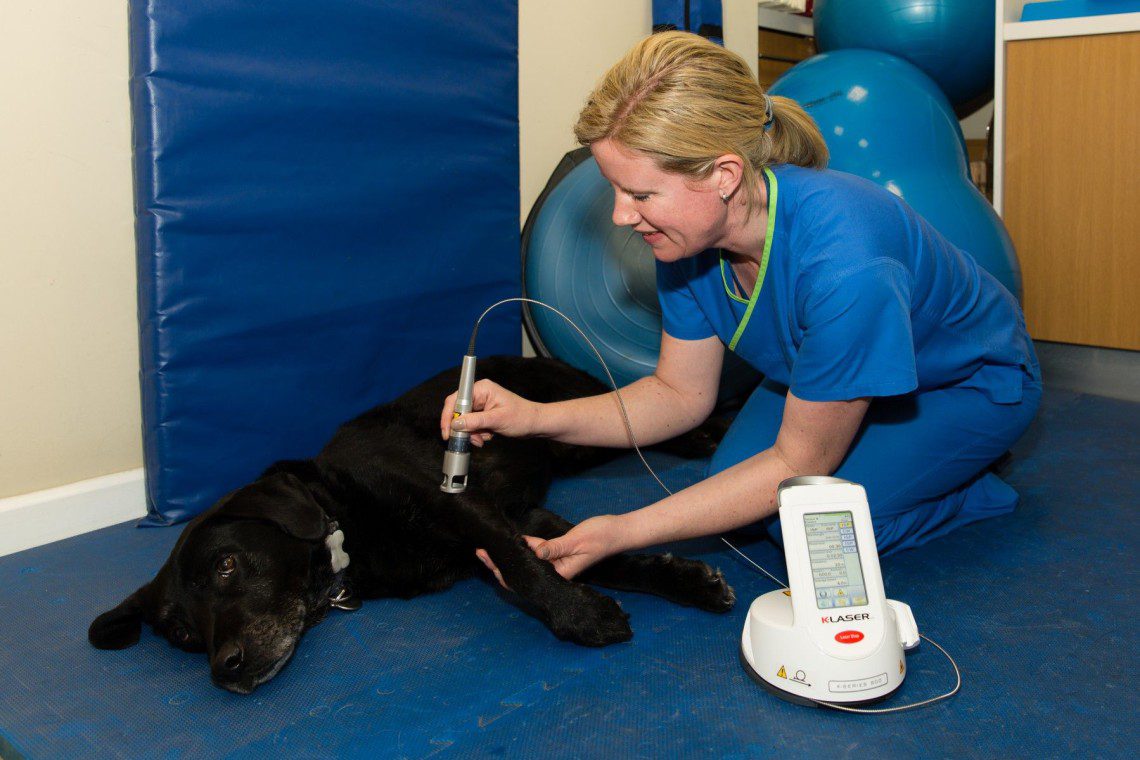 Laser therapy being performed by Fiona one of our chartered physiotherapists