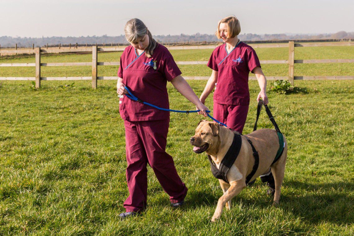 Ward Auxillaries exercising inpatients