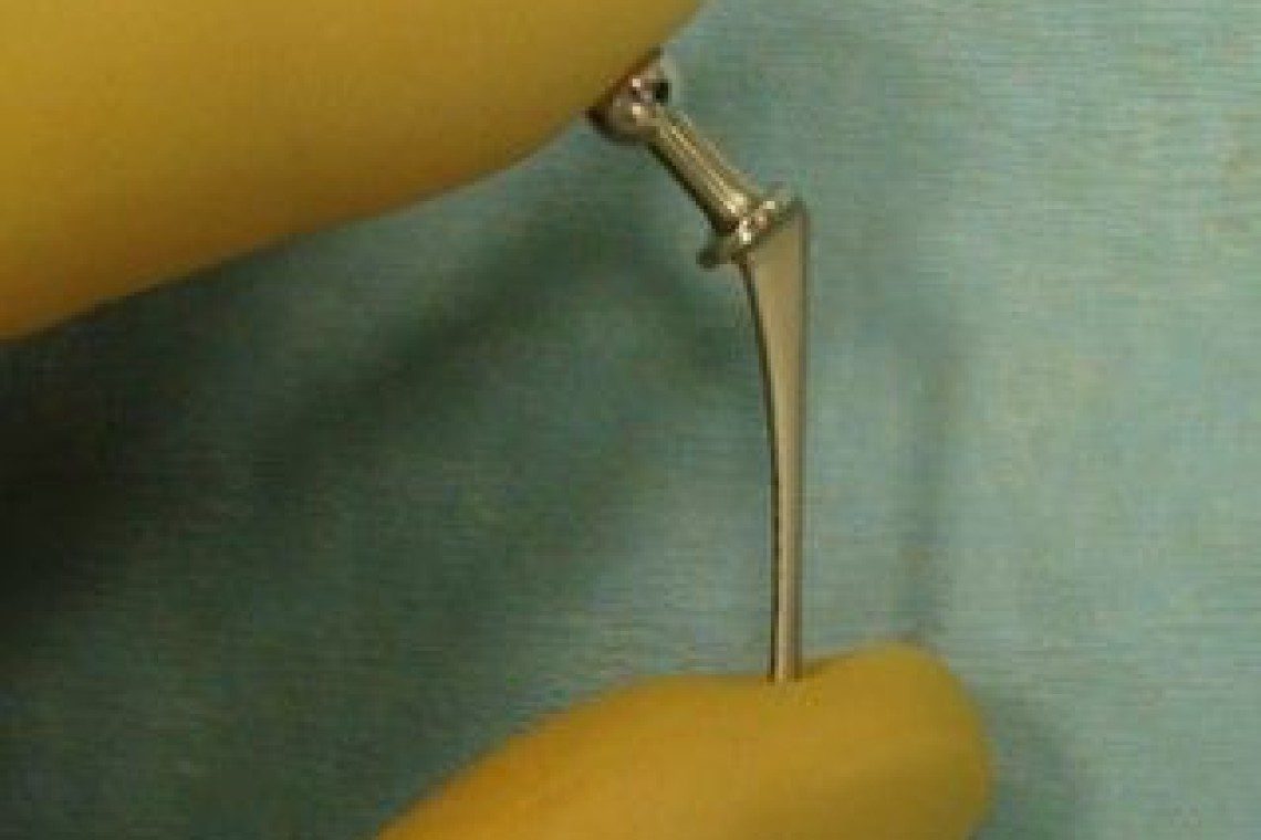 Micro Total Hip Replacement Implant for a chihuahua