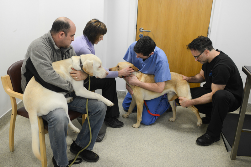 Louie and his family during an examination with Noel