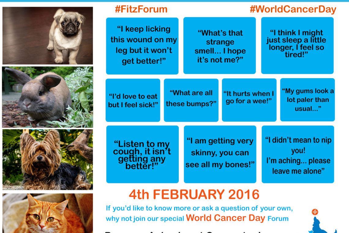 10 Things your animal would say if they had Cancer WCD16