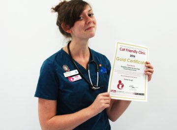 Cat Friendly Clinic Fitzpatrick Referrals Oncology & Soft Tissue
