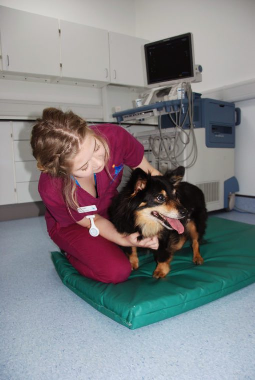 Archie Murray with Vicky