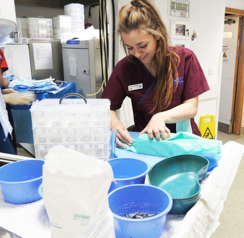 Surgical Auxiliary preparing kit for surgery at the Fitzpatrick Referrals Orthopaedic and Neurology Hospital