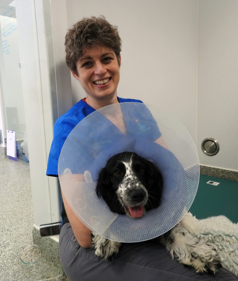 Clare Rusbridge with a dog at Fitzpatrick Referrals