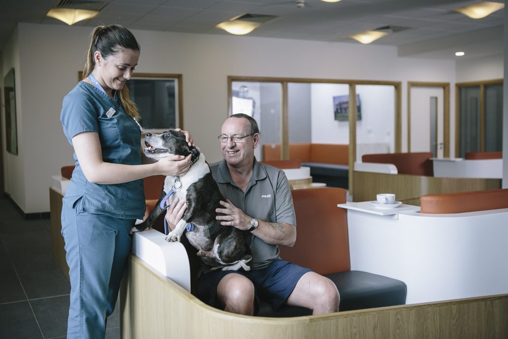 Veterinary Nurse with a patient and a client at Fitzpatrick Referrals Oncology & Soft Tissue