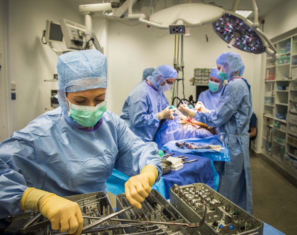 A Veterinary Nurse prepares the equipment for a Total Hip Replacement procedure at Fitzpatrick Referrals