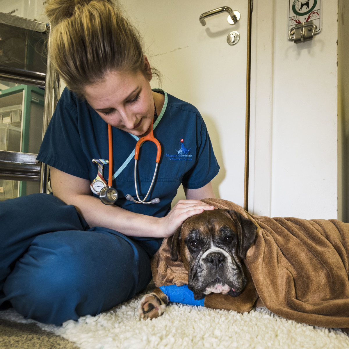 In conversation with our Veterinary Nurses Blog Fitzpatrick Referrals