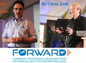 Noel Fitzpatrick with Chris Zink talking about FORWARD