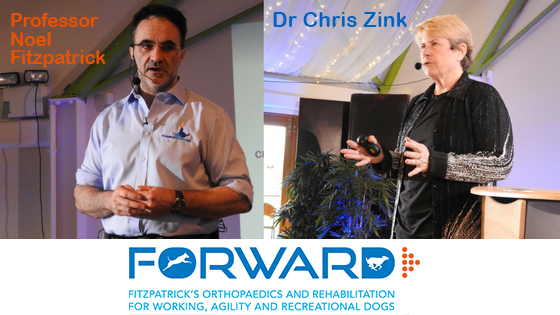 Noel Fitzpatrick with Chris Zink talking about FORWARD