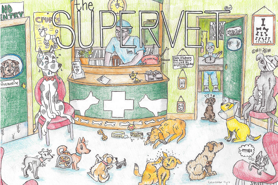 supervet-drawing