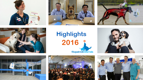 Highlights of 2016