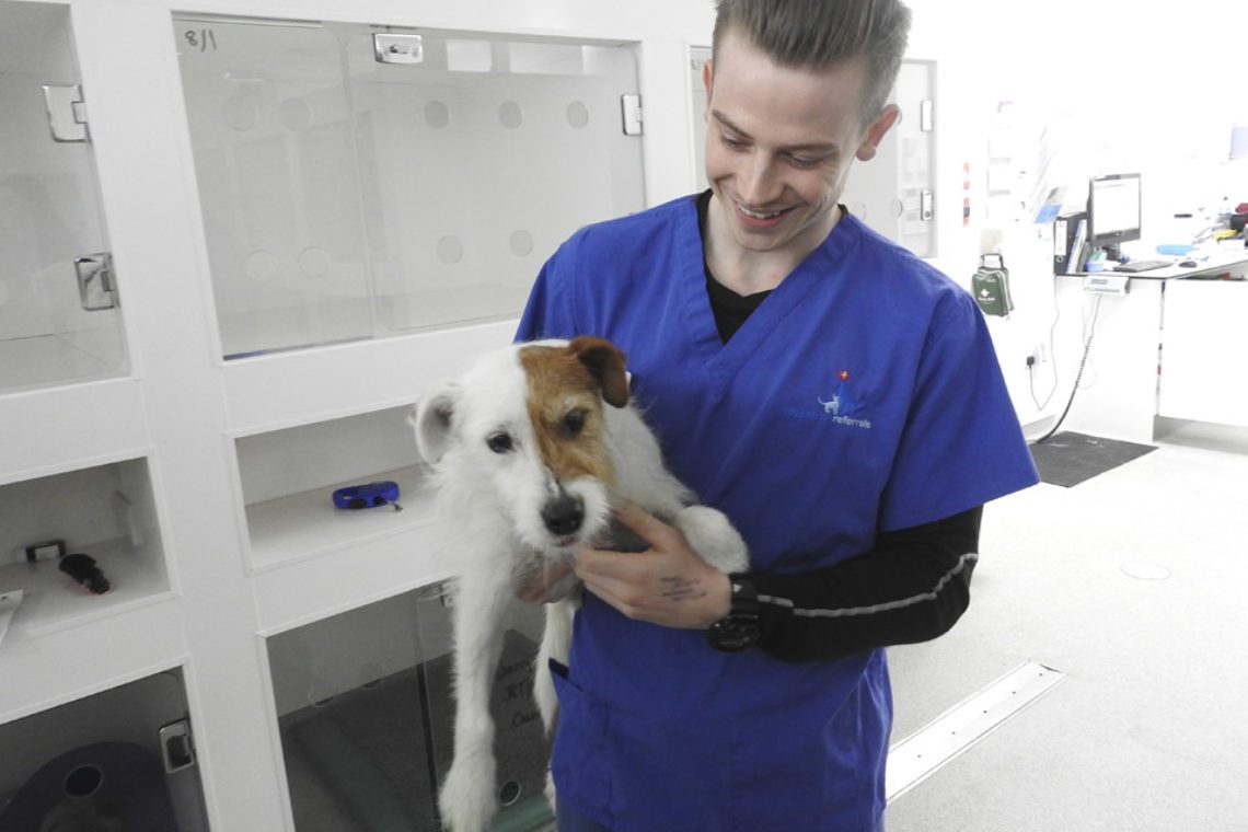 Jack Russell Barry with Vet Surgeon Darby