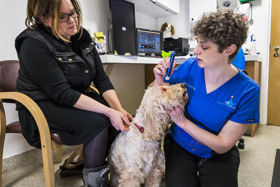 Dr Clare Rusbridge in consultation with patient Pappy