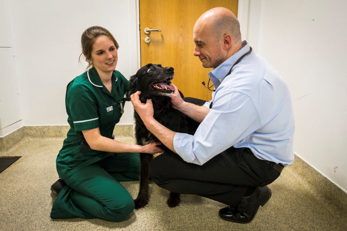 Clinical Nursing Manager Lucy Montague and patient, with Dr Laurent Findji Clinical Nursing Manager Lucy Montague and patient
